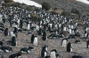 CPD October 2006