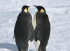Emperors