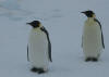 Emperors